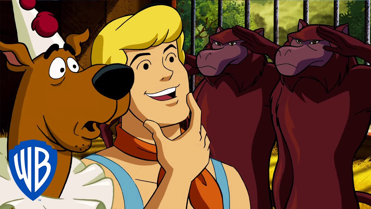 Scooby-Doo! | Stop Monkeying Around | WB Kids 