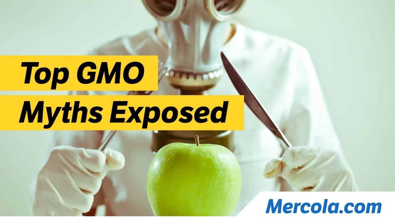 Mercola.com's GMO Awareness Week: Top GMO Myths Exposed 