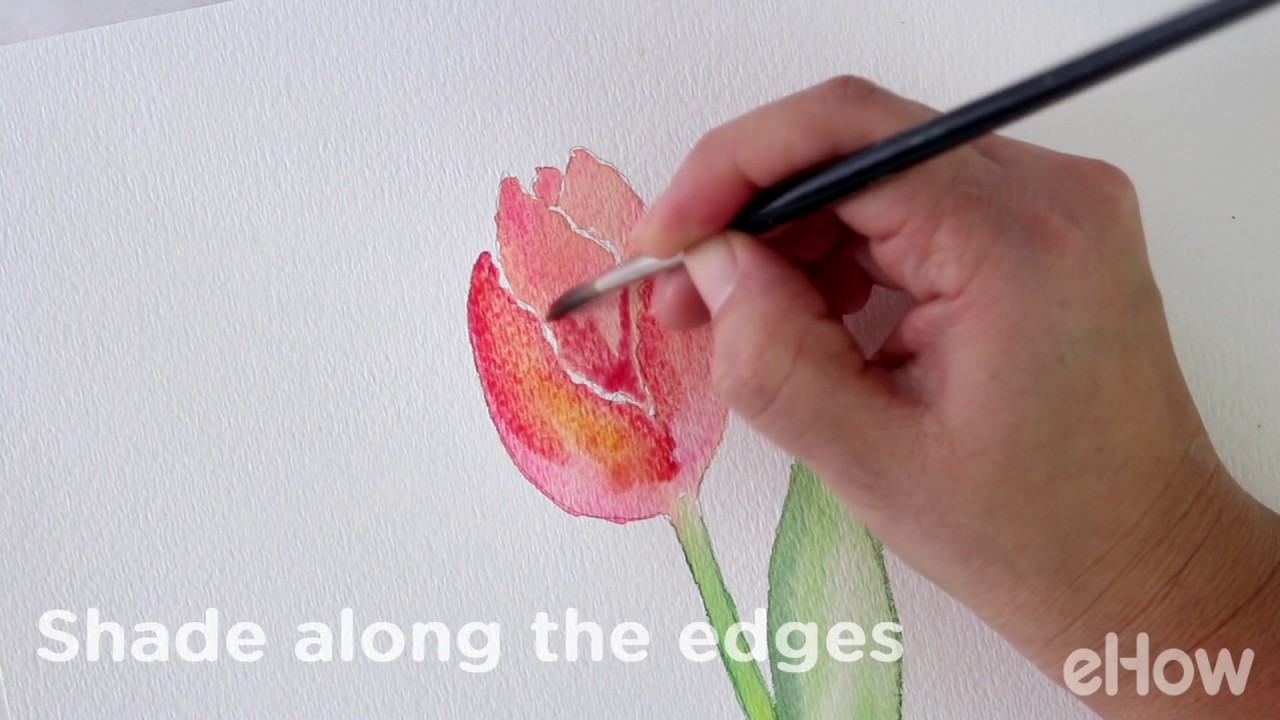 How to Paint a Tulip in Watercolor 