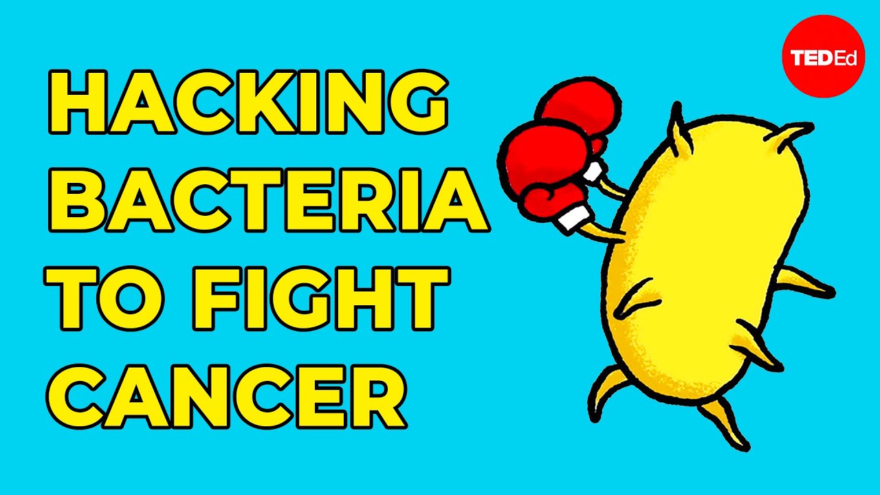 Hacking bacteria to fight cancer - Tal Danino 