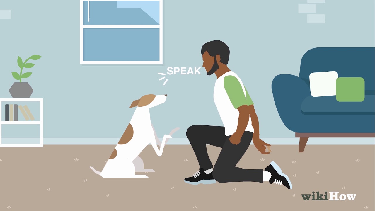 Cómo enseñarle a tu perro a hablar 