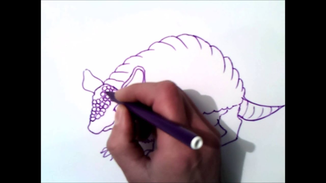 como dibujar un armadillo paso a paso | como dibujar un armadillo | facil 