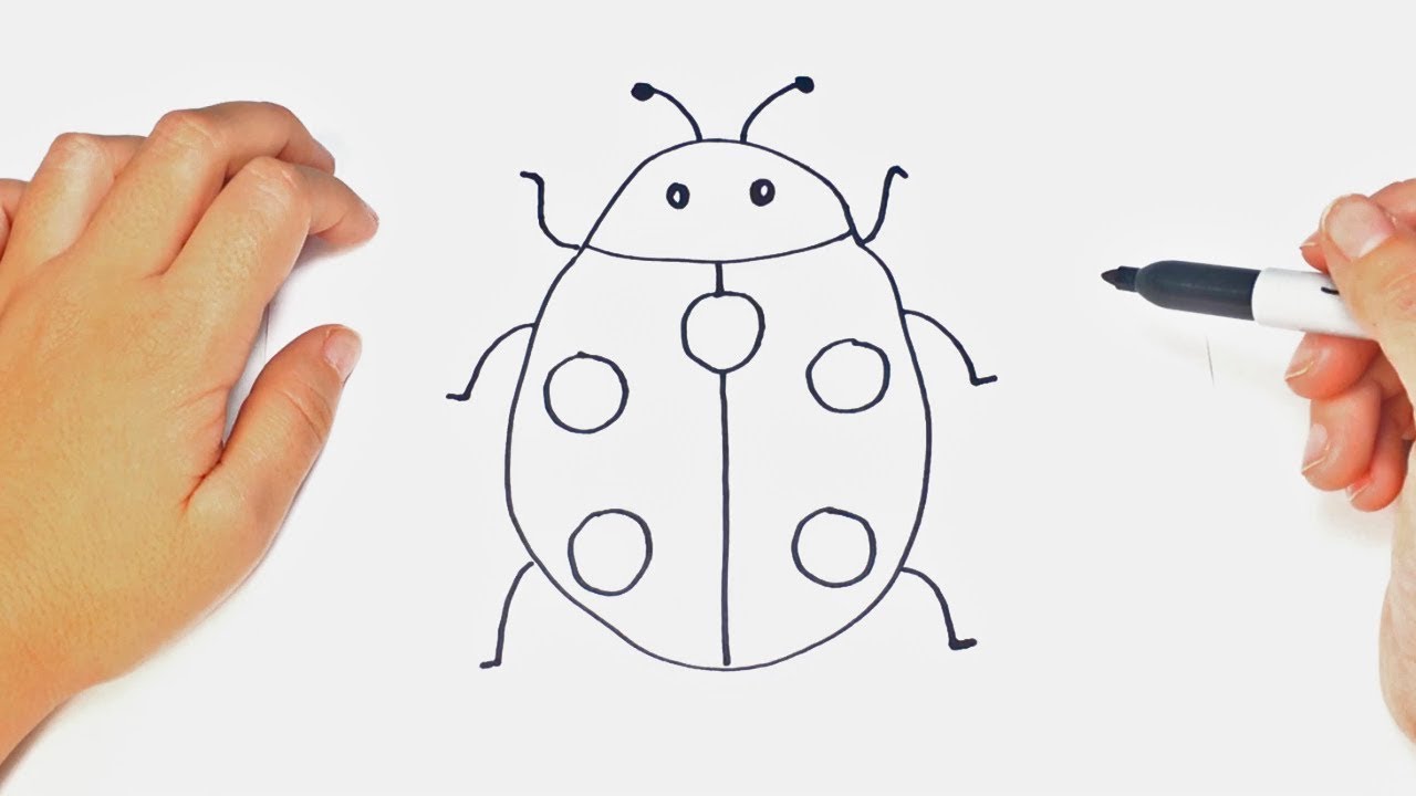 How to draw a Ladybug Step by Step | Easy drawings 