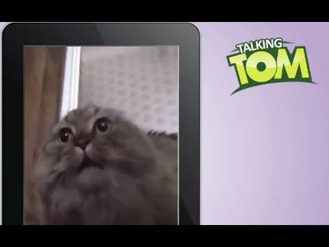 Talking Tom VS NoNoNoNo Cat 