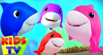 Laughing Shark Song | Baby Shark | Nursery Rhymes & Baby Songs | Kids Tv