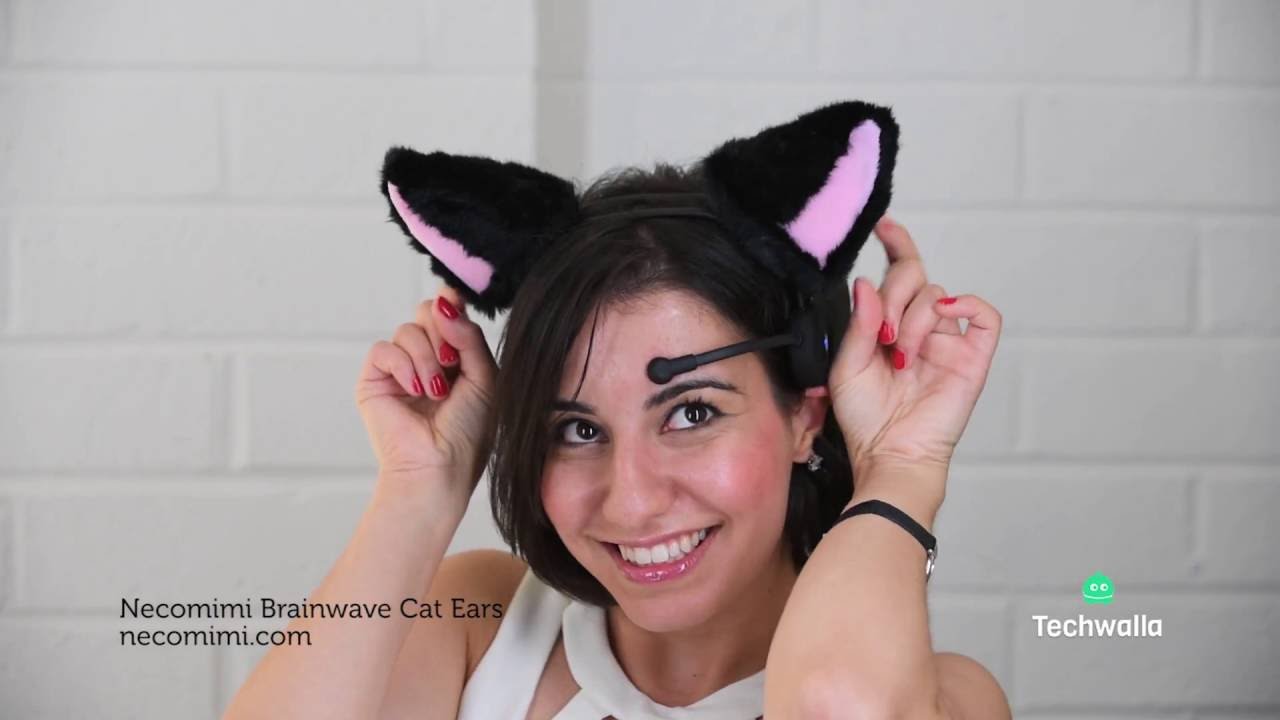 Life with Cat Ears That Read Your Brainwaves 