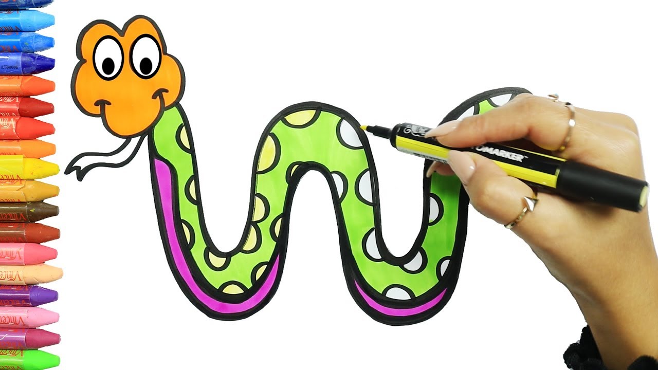 Cómo Dibujar y Colorear Serpiente ? | Dibujos Para Niños con MiMi ? | Aprender Colores ? 