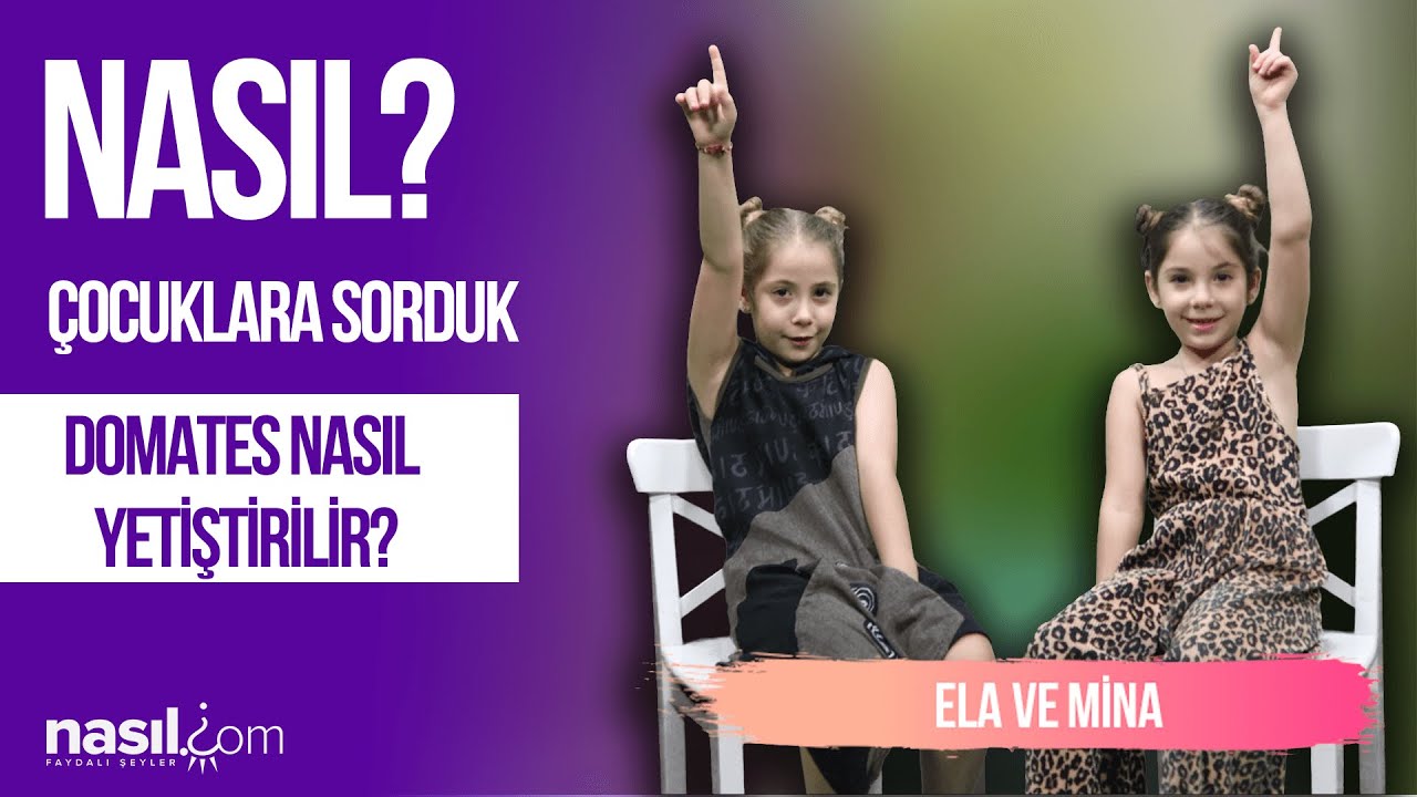 Çocuklara Sorduk; Domates Nasıl Yetiştirilir? 2