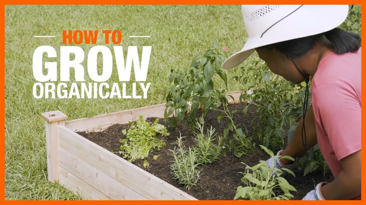 How to Grow Organically | Edible Gardening | The Home Depot 1