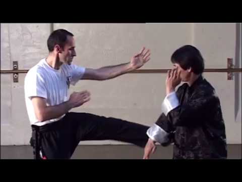 Wing Chun Sil Lim Tao Application Part 2 Step by Step Guide 