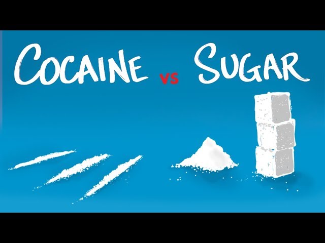 Cocaine vs Sugar 