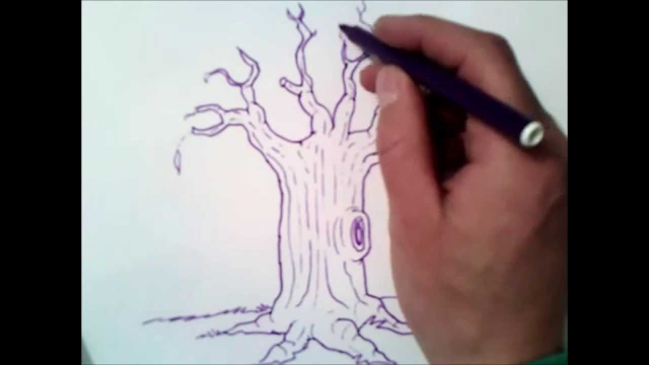 comment dessiner un arbre sans feuilles 