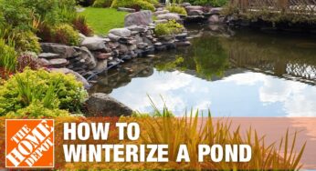 How to Winterize a Pond | The Home Depot