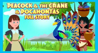 Peacock & The Crane & Pocahontas Full Story | Short Story for Children in English | Bedtime Stories