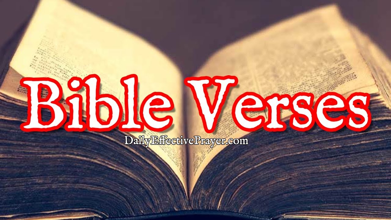 Bible Verses On Prosperity | Scriptures For Prosperity, Wealth, Success (Audio Bible) 