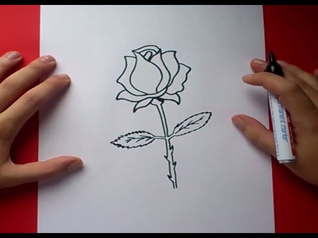 Como dibujar una rosa paso a paso 3 | How to draw a rose 3 