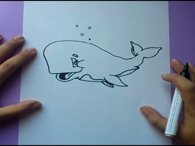 Como dibujar una ballena paso a paso 2 | How to draw a whale 2 
