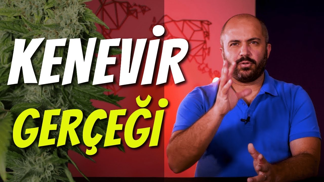 KENEVİR GERÇEĞİ - NEDEN YASAK? ÜLKEMİZİ KURTARIR MI? 