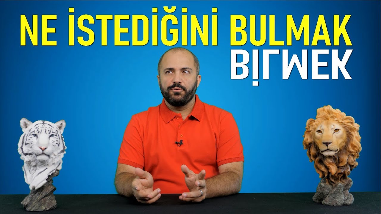 NE İSTEDİĞİNİ BULMAK/BİLMEK 2