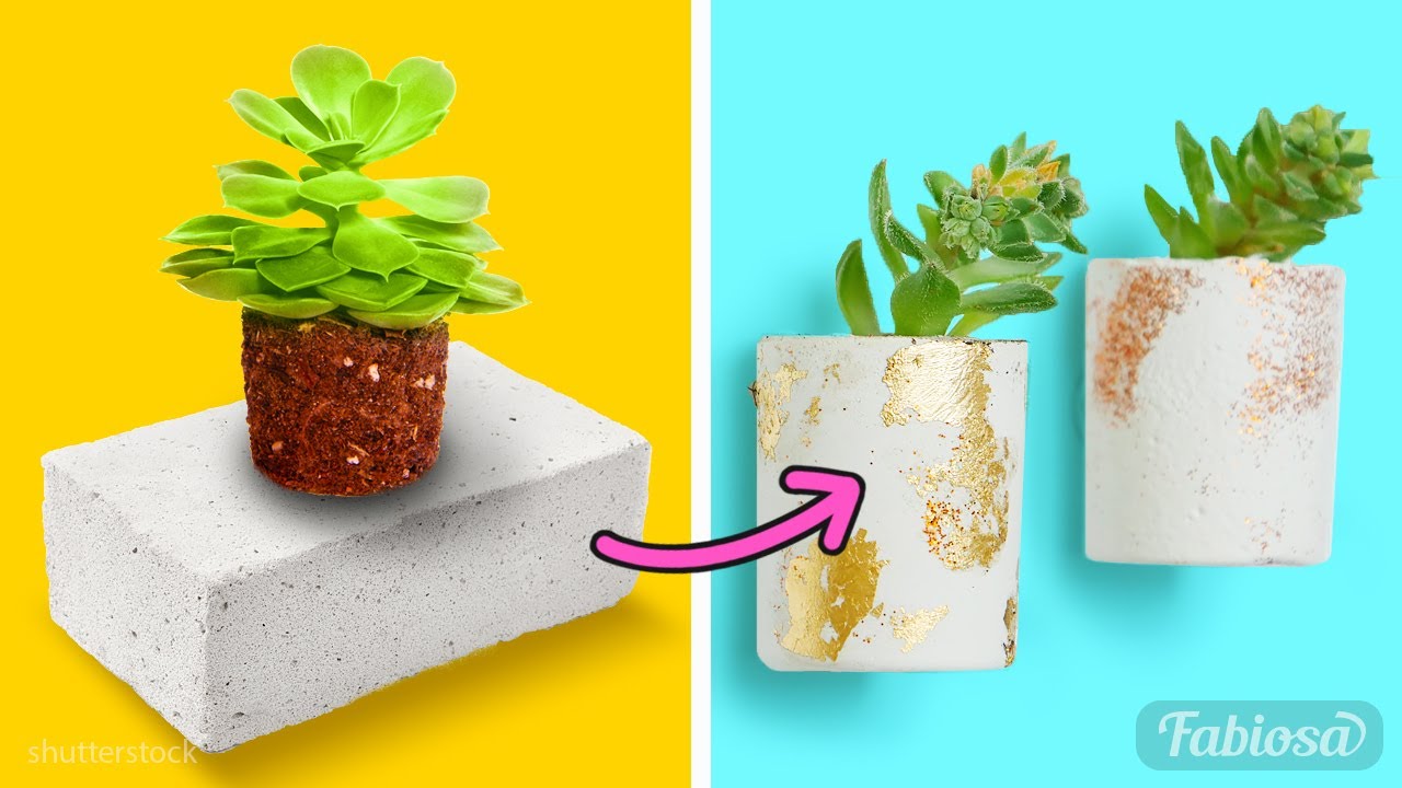 5 super creative DIY plant pots and vases to decorate your home | Tips 