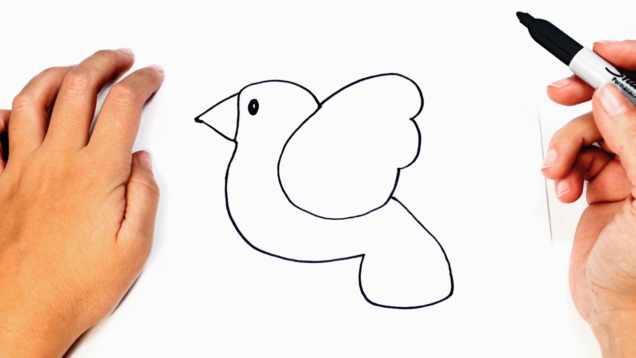 Cómo dibujar un pájaro