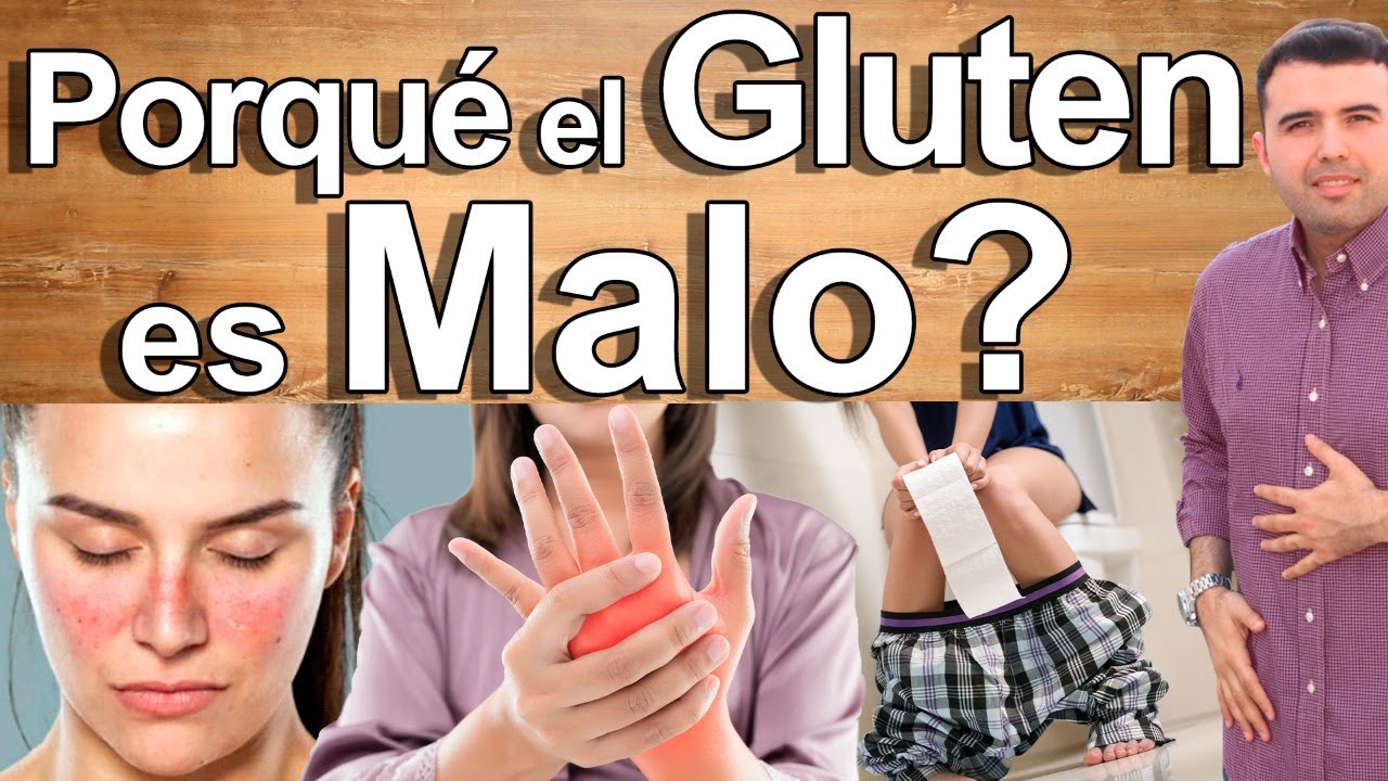 Porqué El Gluten Es Malo? - Esto Te Hace El Gluten 