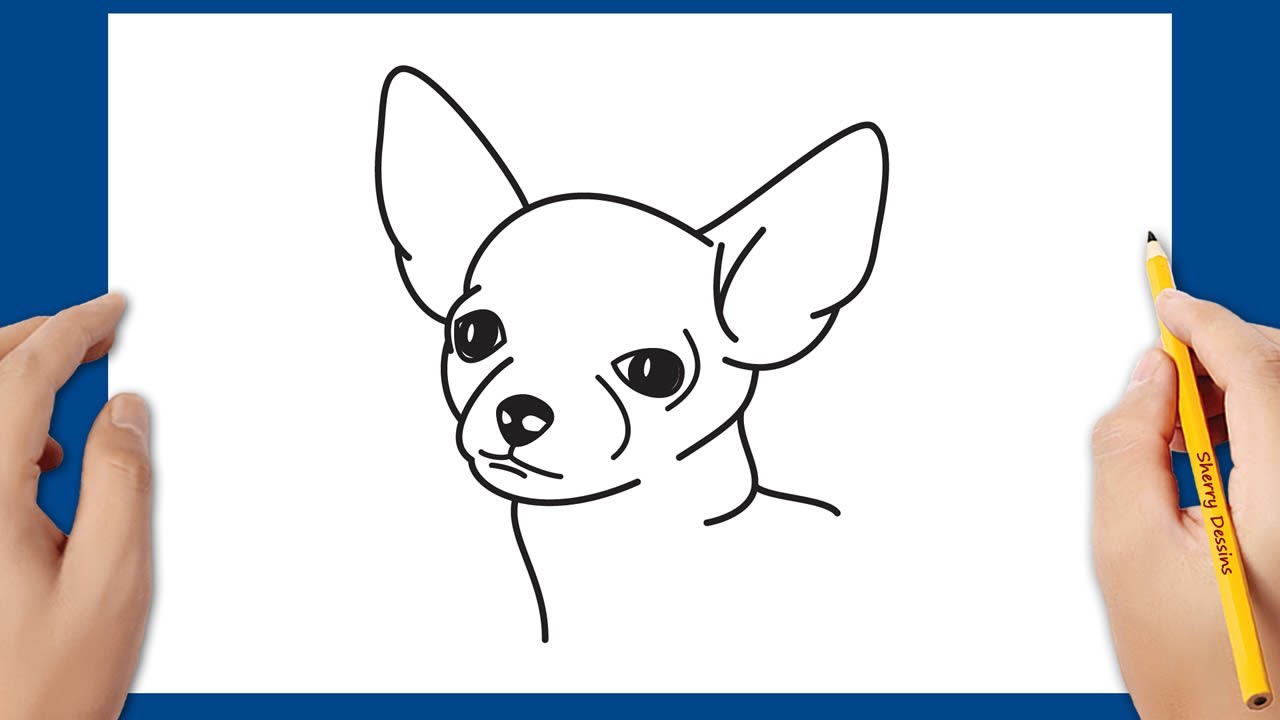 Comment dessiner un chien chihuahua étape par étape 