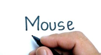 VERY EASY , How to turn words MOUSE into mouse cartoon for kids