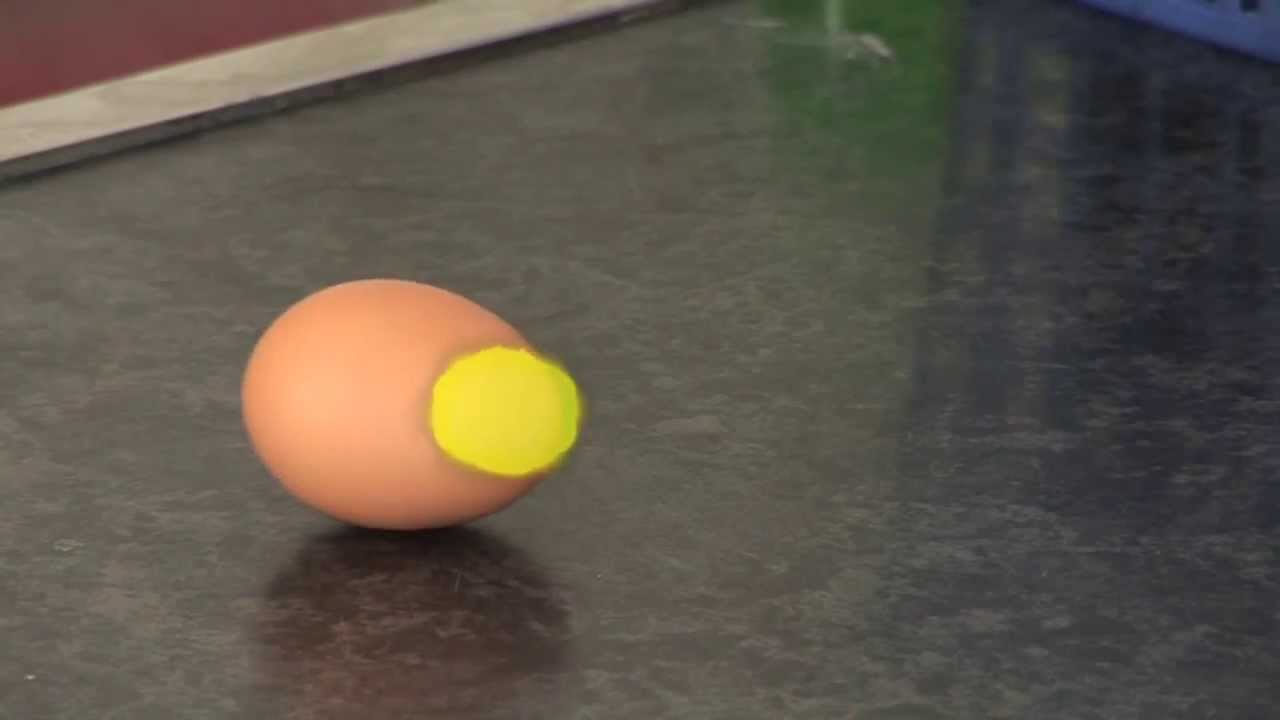 Egg Experiment to Demonstrate Inertia 