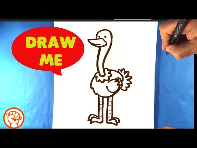 How to Draw an Ostrich - Easy Pictures to Draw 1