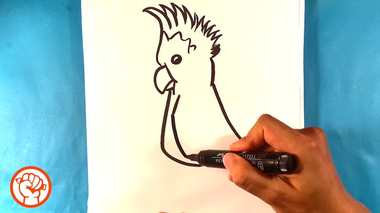 How to Draw a Cockatoo Parrot - Easy Pictures to Draw 2