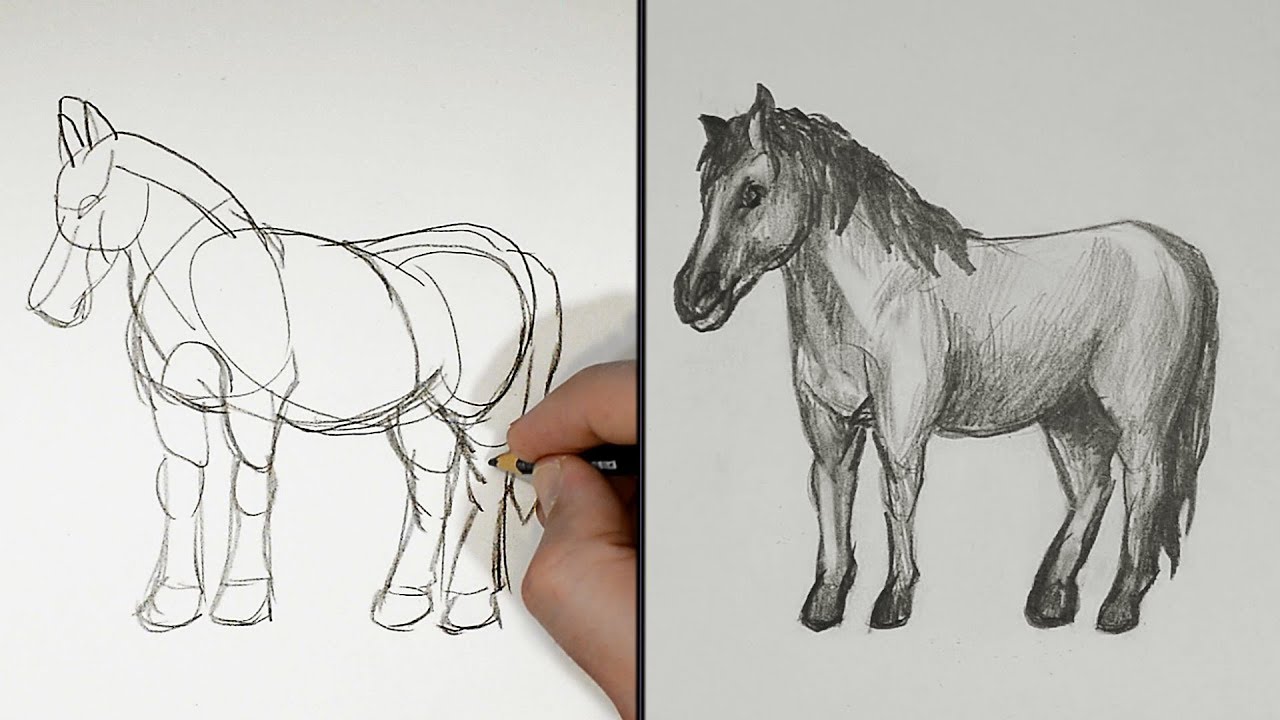 Рисуем лошадь поэтапно. Рисование лошади. Красивые рисунки лошадей. Пошаговое рисование лошади. Лошадь карандашом.