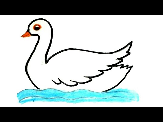 how to draw duck drawing painting animals drawing birds drawing easy drawing colour peacock drawings 