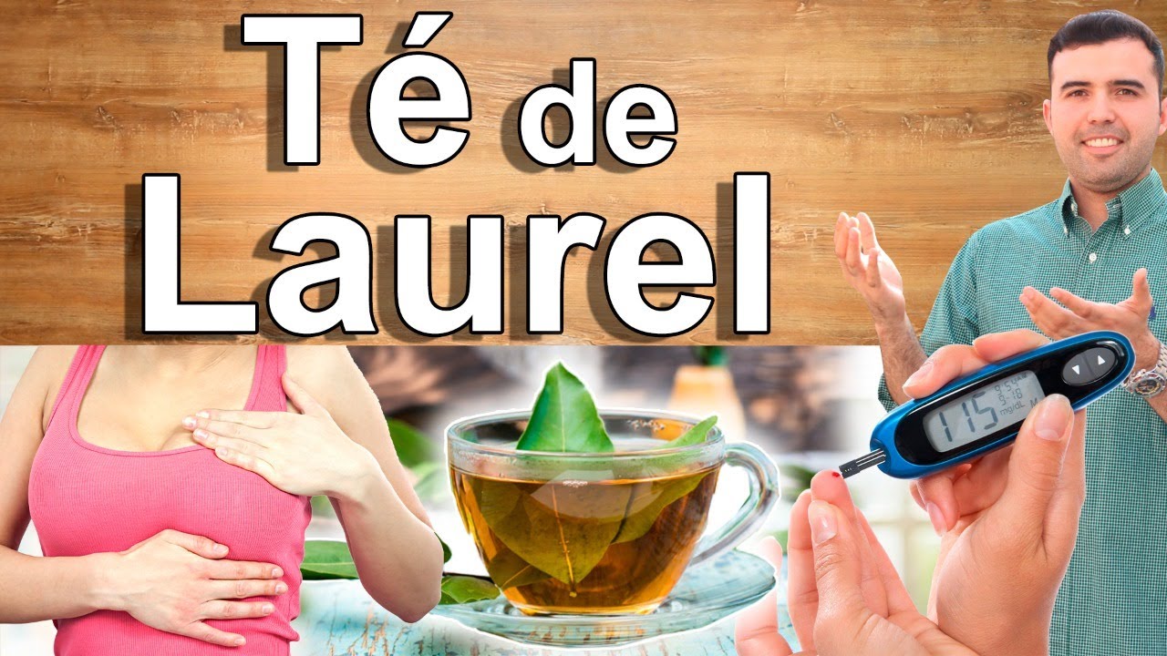 Té De Laurel En Ayunas - Beneficios Y Usos De La Hoja De Laurel Para Tu Salud y Belleza 