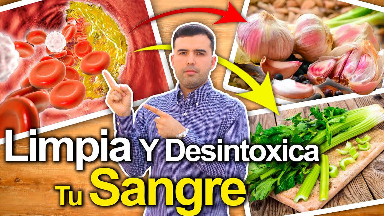 Limpia Tu Sangre - Cómo Desintoxicar La Sangre Y Purificarla Naturalmente - Jugos Y Remedios Caseros 