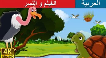الغيلم و النسر | قصص اطفال | حكايات عربية