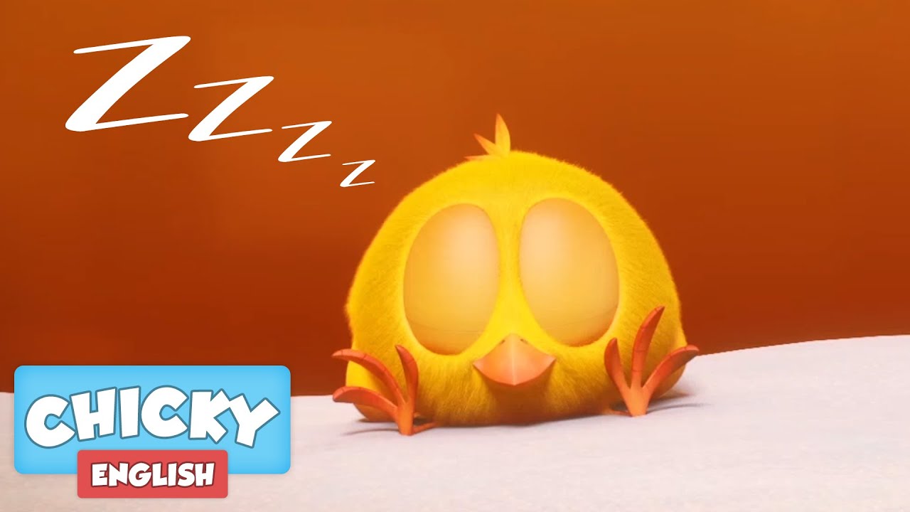 Where's Chicky? Funny Chicky 2020 | THE NAP | Chicky Cartoon in English for Kids 