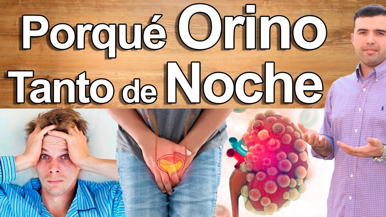 PORQUÉ ORINO MUCHO DE NOCHE - EN VIVO - Como Dejar de Orinar Tanto Por La Noche 