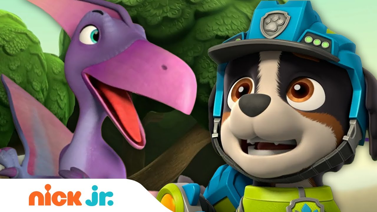 PAW Patrol Pups Rescue Pterodactyl Dino! | Nick Jr. 