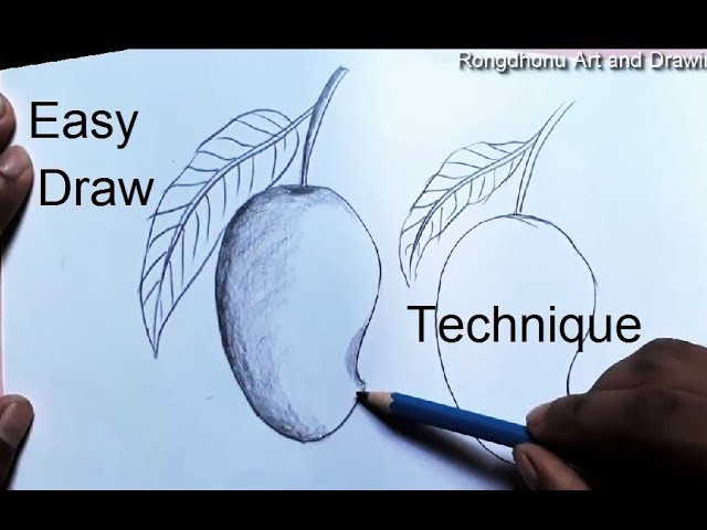 How to Draw a Mango For kids | Easy Technique With Pencil drawing 