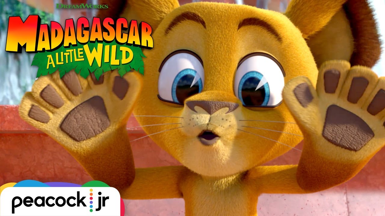 MADAGASCAR A LITTLE WILD | Season 1 Trailer 