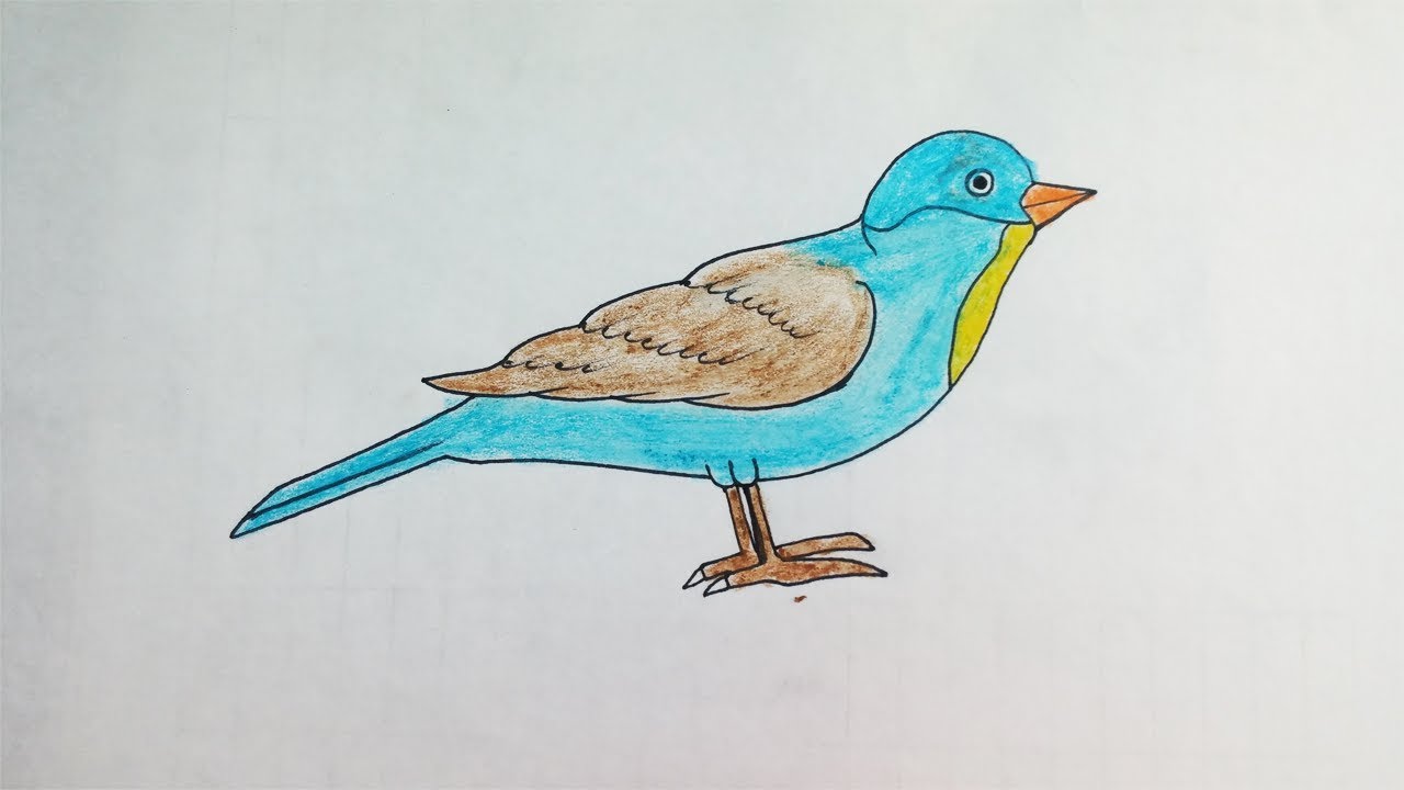 Draw simple bird for beginners| Easy Bird drawing class with multi colors 