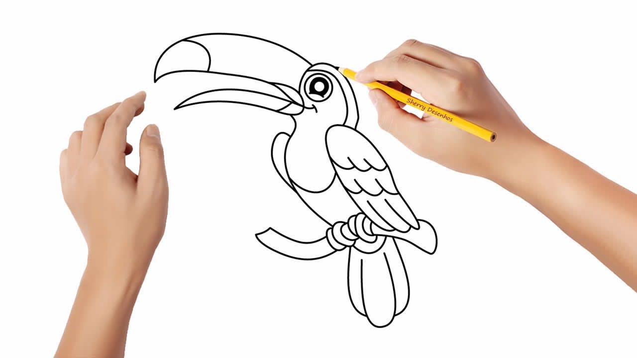 Como desenhar um tucano 