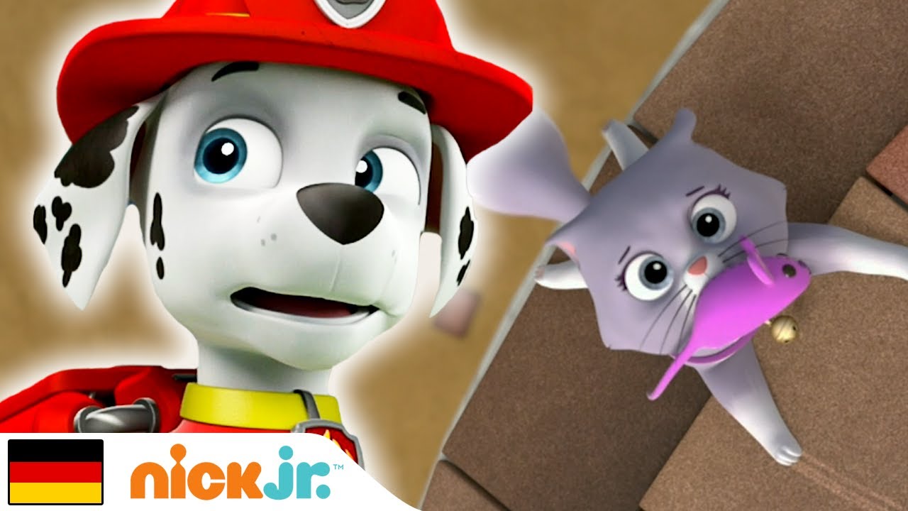 Paw Patrol | Kali ist in Schwierigkeiten! ? | Nick Jr. 