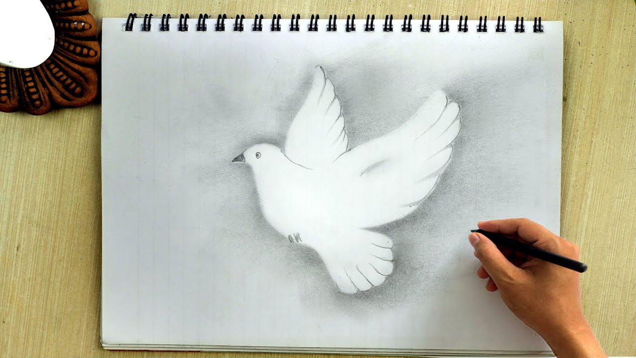 Flying Dove Bird Drawing Technique ? How to Draw a Flying Bird | White Bird Sketch 