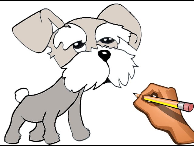 DIBUJO FACIL DE SCHNAUZER - HOW TO DRAW SCHNAUZER STEP BY STEP 