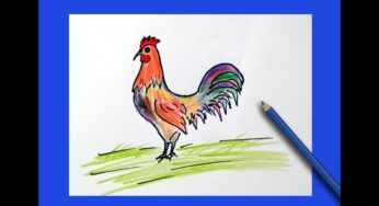 How to Draw Cock ✅ Roster Drawing step by step easy