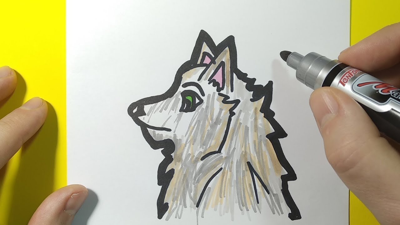 How to draw a wolf easy, funny drawings 