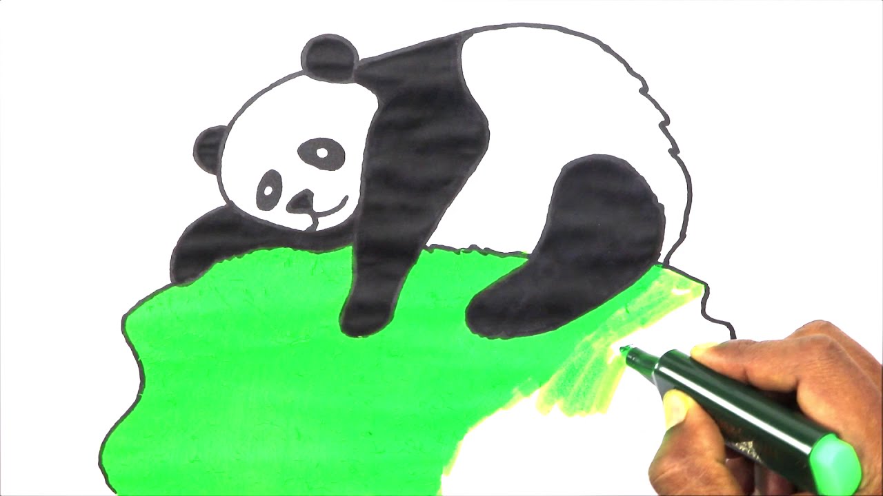 how to draw panda drawing painting teddy bear drawing Micky mouse easy drawings colour house drawing 