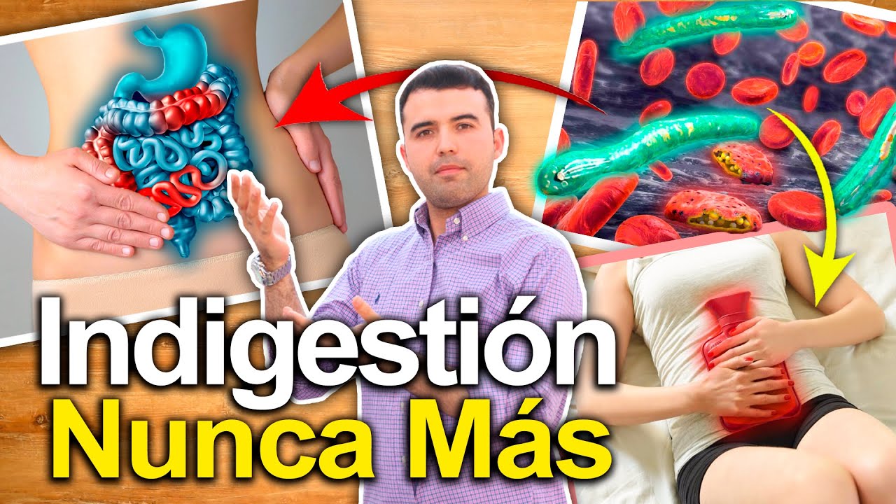 Cómo Mejorar Tu Digestión - 4 Consejos Para Decirle Adiós A La Mala Digestión 